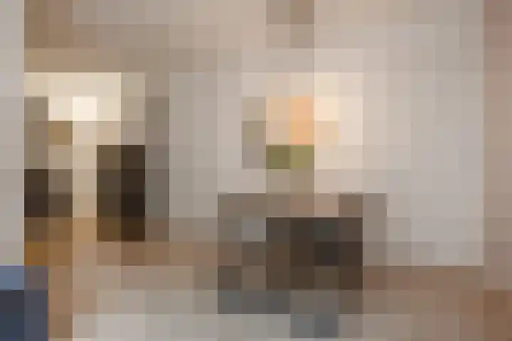 Zaanweg 110 A 1 Wormerveer thumbnail 11