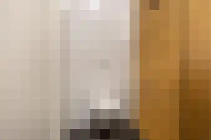 Zaanweg 110 A 1 Wormerveer thumbnail 21