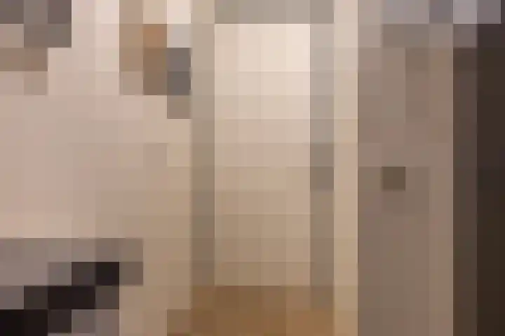 Zaanweg 110 A 1 Wormerveer thumbnail 22