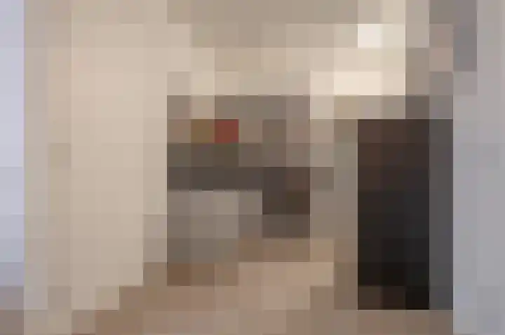 Zaanweg 110 A 1 Wormerveer thumbnail 5