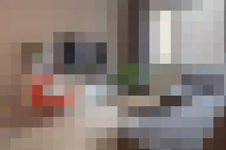 Zaanweg 110 A 1 Wormerveer thumbnail 6