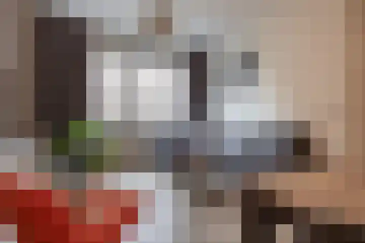 Zaanweg 110 A 1 Wormerveer thumbnail 7