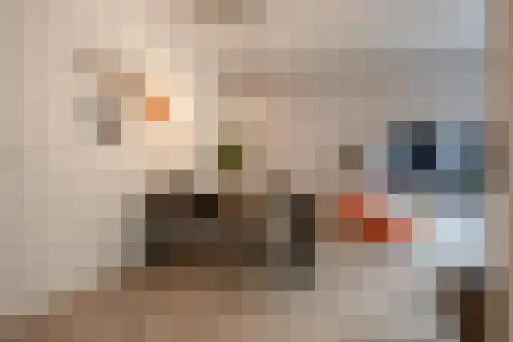 Zaanweg 110 A 1 Wormerveer thumbnail 9