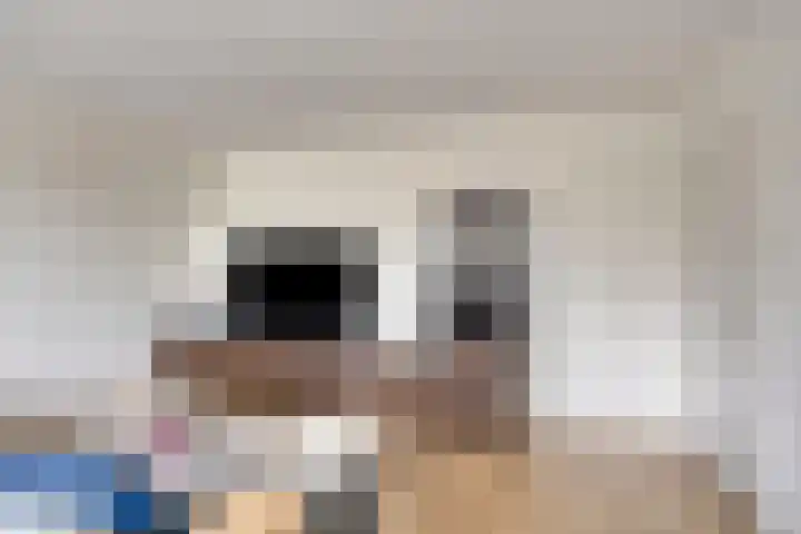 Zaanweg 115 C 3 Wormerveer thumbnail 10