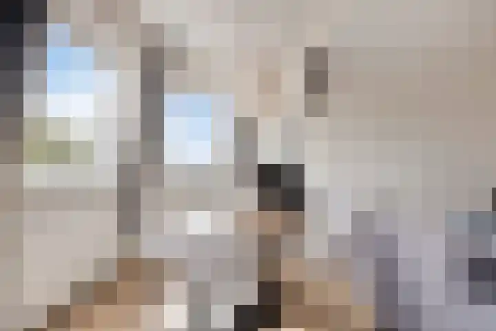 Zaanweg 115 C 3 Wormerveer thumbnail 12