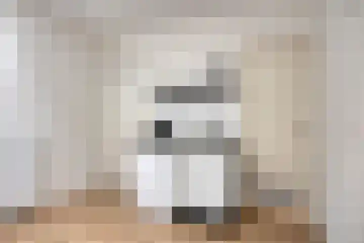 Zaanweg 115 C 3 Wormerveer thumbnail 17