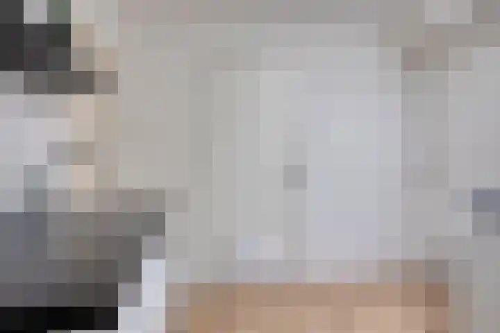 Zaanweg 115 C 3 Wormerveer thumbnail 19