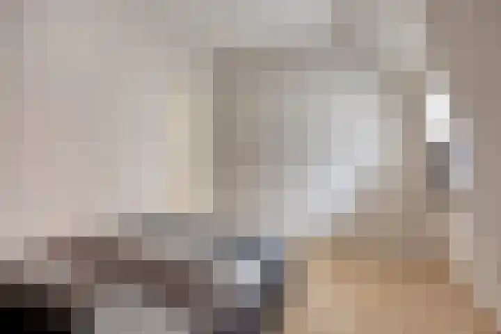 Zaanweg 115 C 3 Wormerveer thumbnail 21