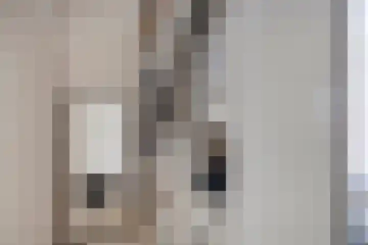 Zaanweg 115 C 3 Wormerveer thumbnail 22