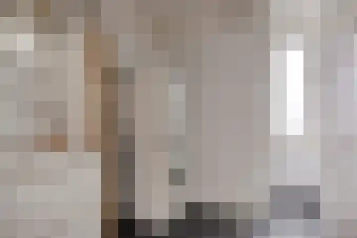 Zaanweg 115 C 3 Wormerveer thumbnail 25