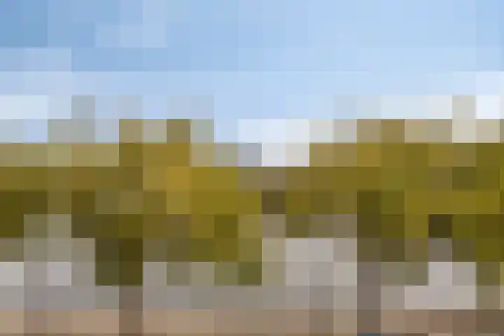 Zaanweg 115 C 3 Wormerveer thumbnail 28