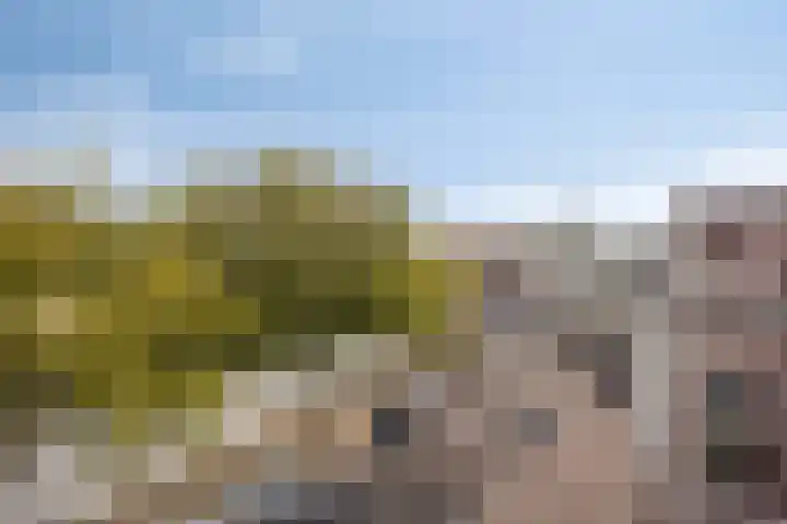 Zaanweg 115 C 3 Wormerveer thumbnail 29