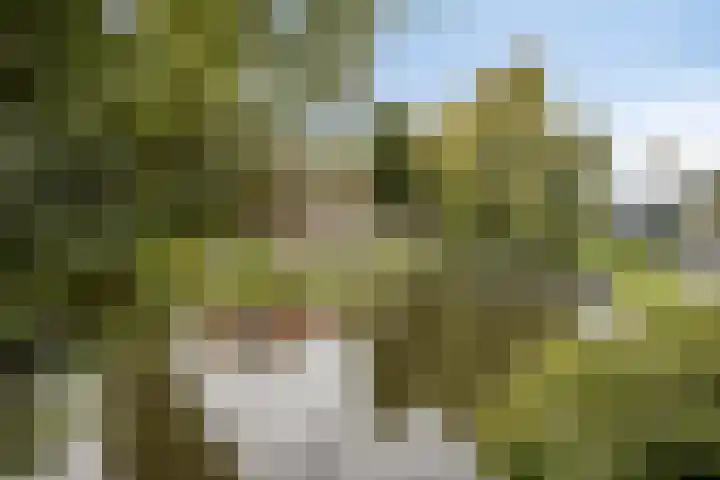 Zaanweg 115 C 3 Wormerveer thumbnail 30