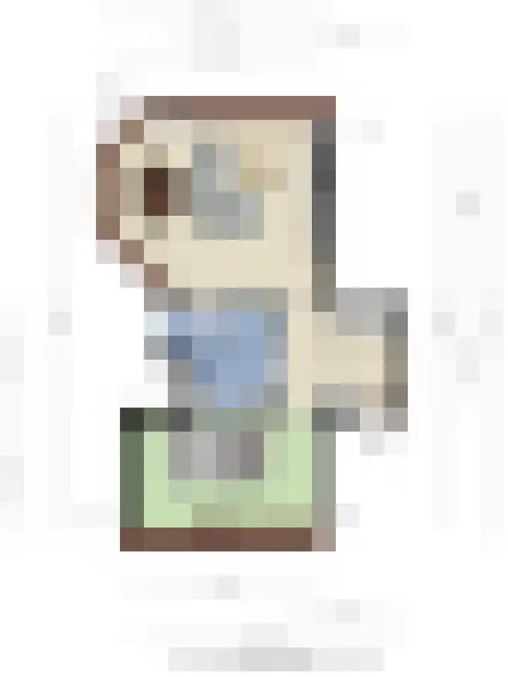 Zaanweg 115 C 3 Wormerveer thumbnail 31