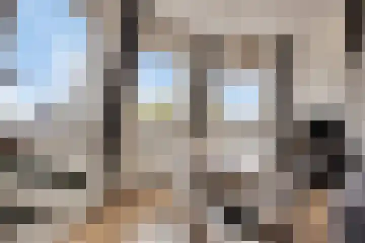 Zaanweg 115 C 3 Wormerveer thumbnail 8