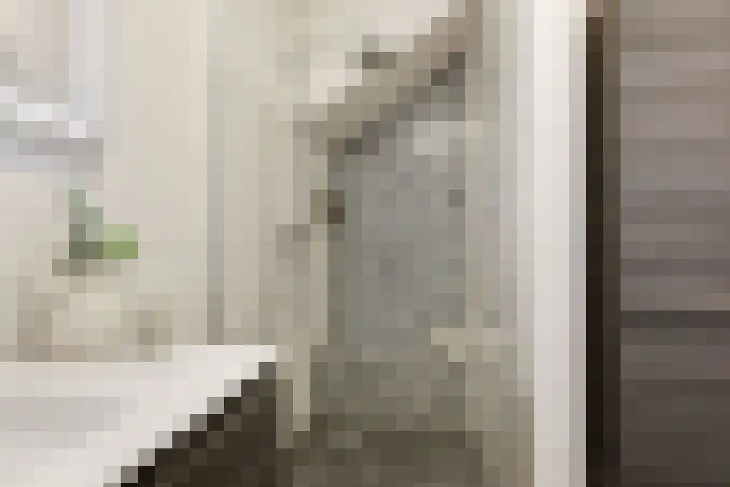 Zaanweg 118 D Wormerveer thumbnail 18
