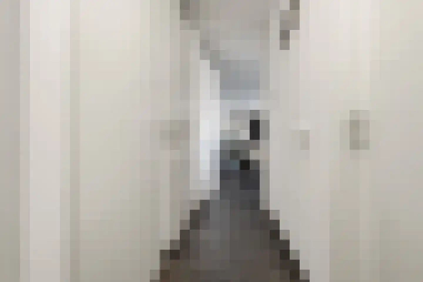 Zaanweg 118 D Wormerveer thumbnail 20