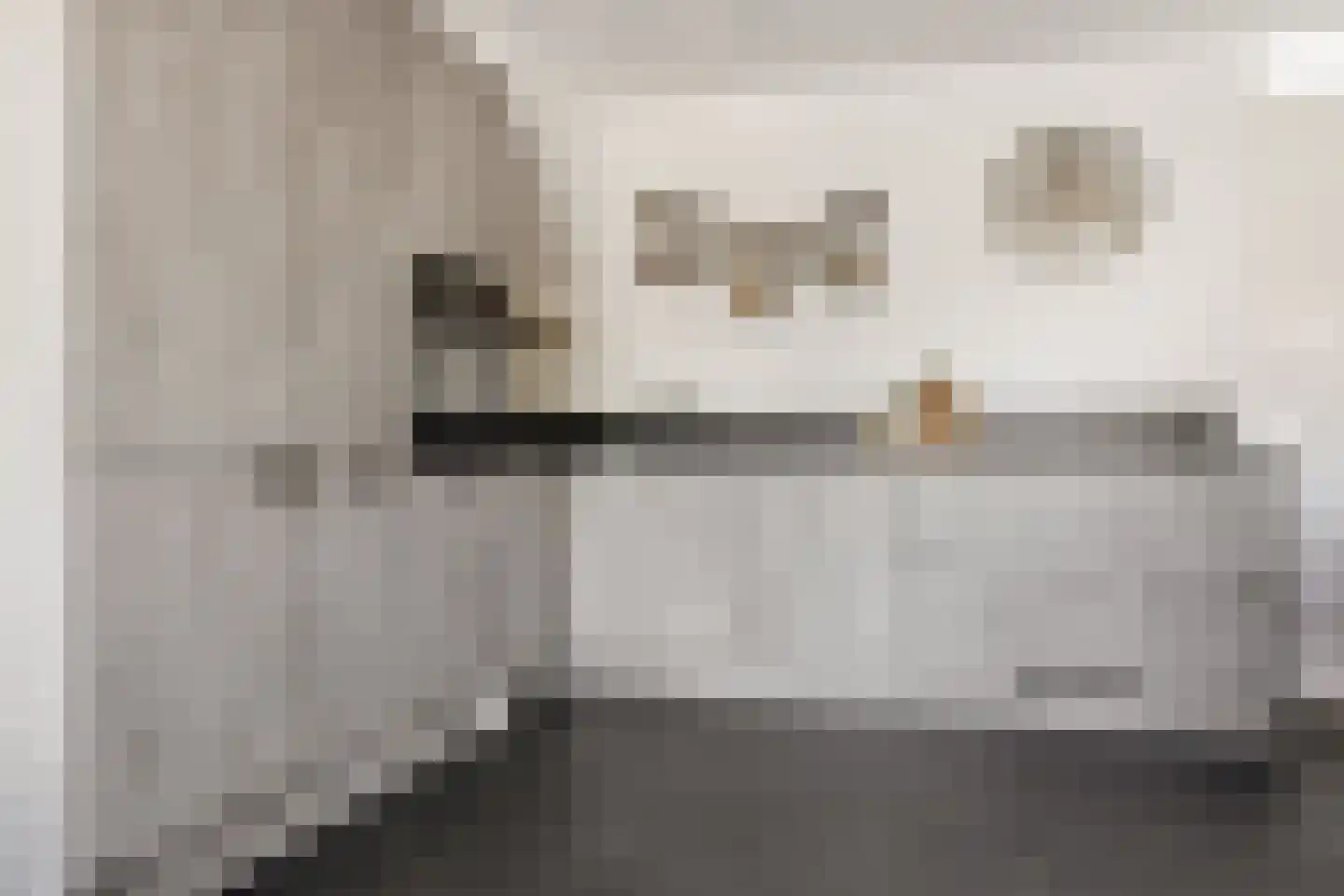 Zaanweg 118 D Wormerveer thumbnail 9