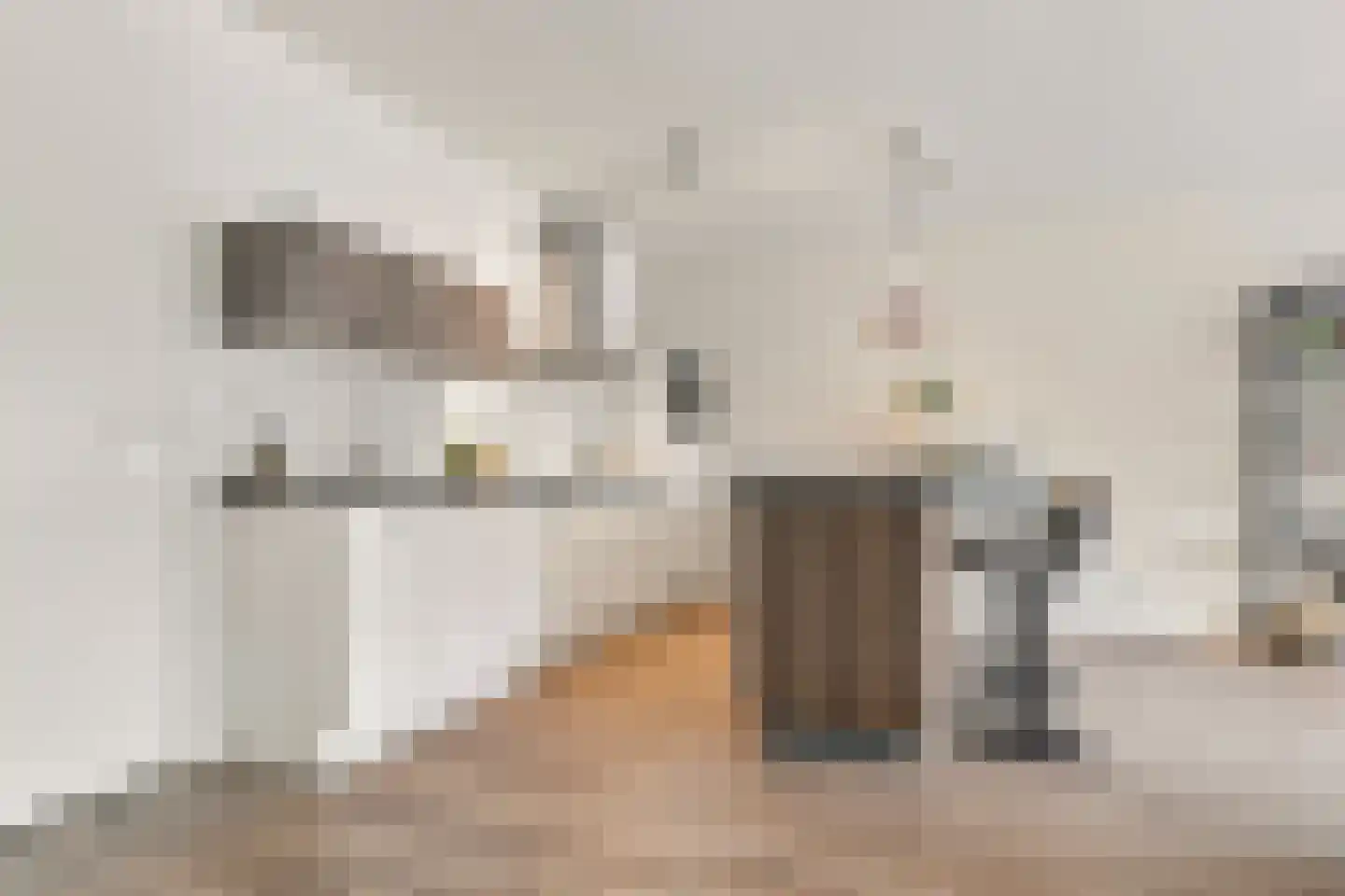Zaanweg 118 G Wormerveer thumbnail 11