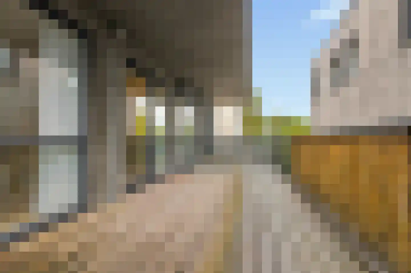 Zaanweg 118 G Wormerveer thumbnail 24