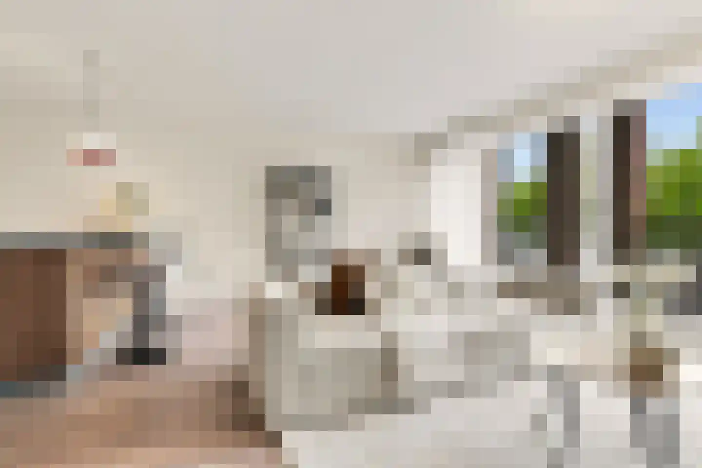 Zaanweg 118 G Wormerveer thumbnail 4