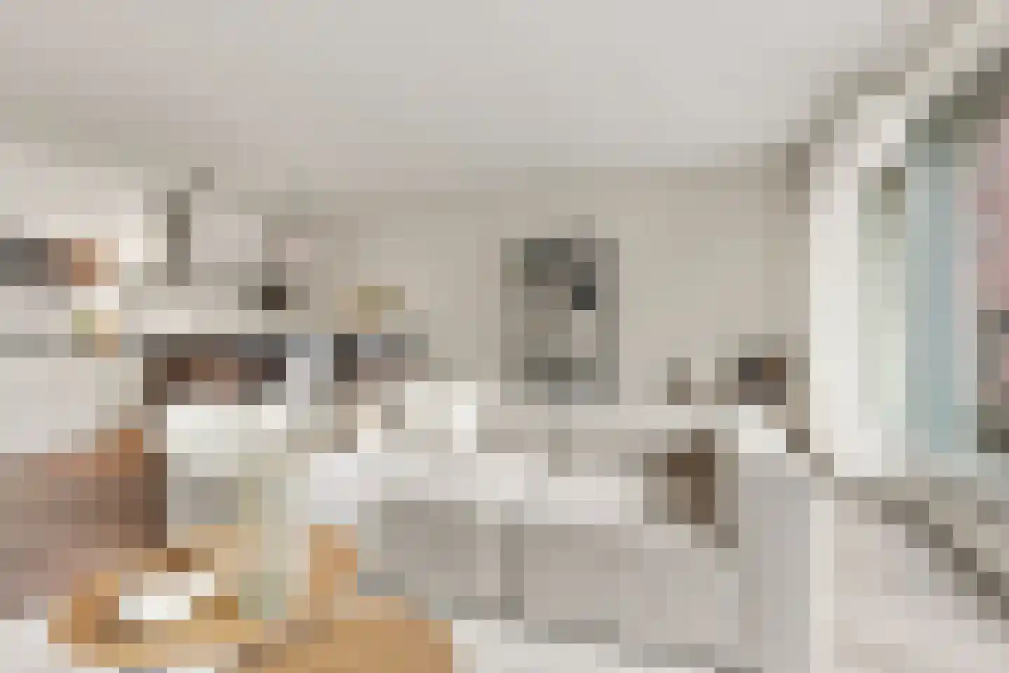 Zaanweg 118 G Wormerveer thumbnail 7