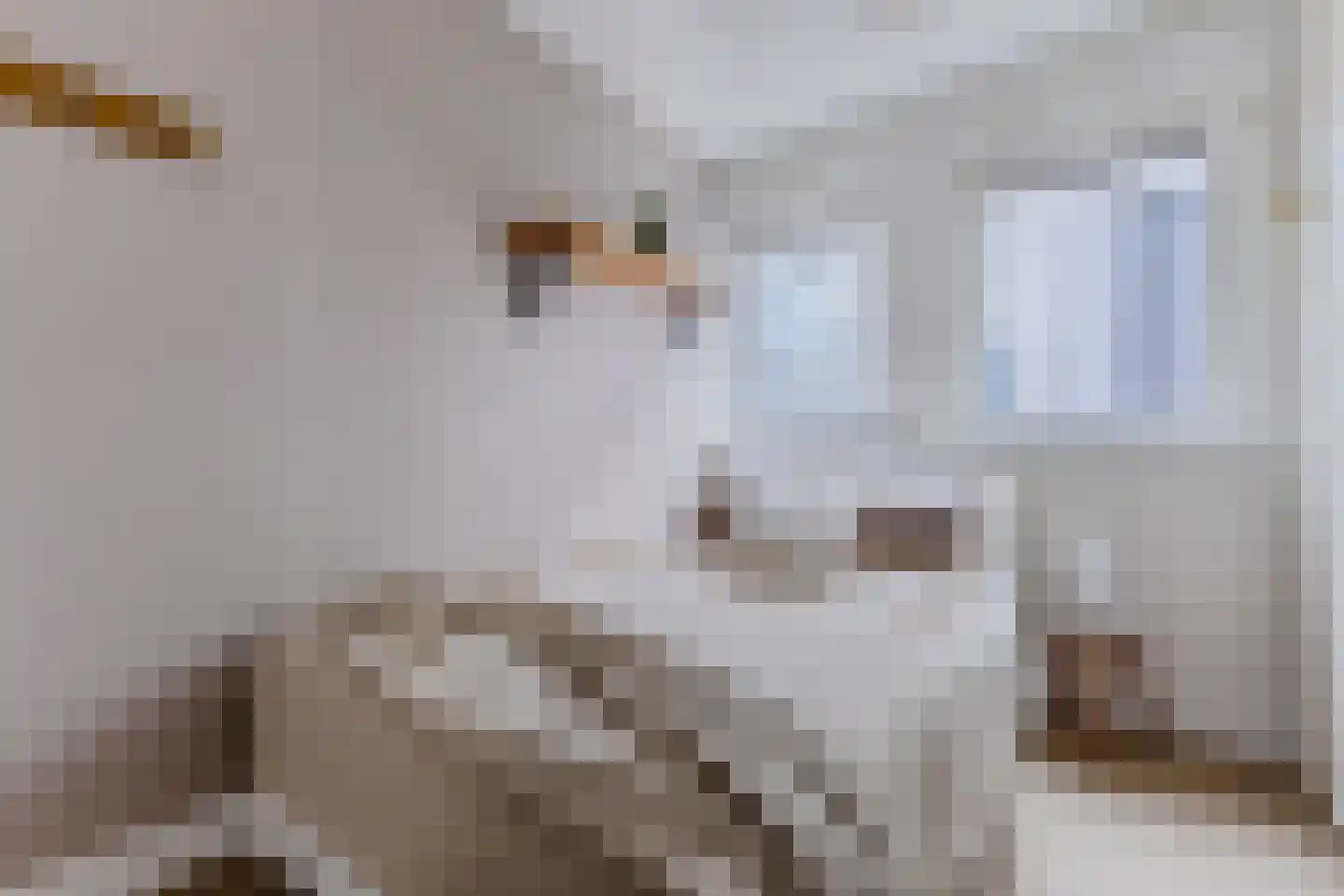 Zaanweg 118 U Wormerveer thumbnail 16