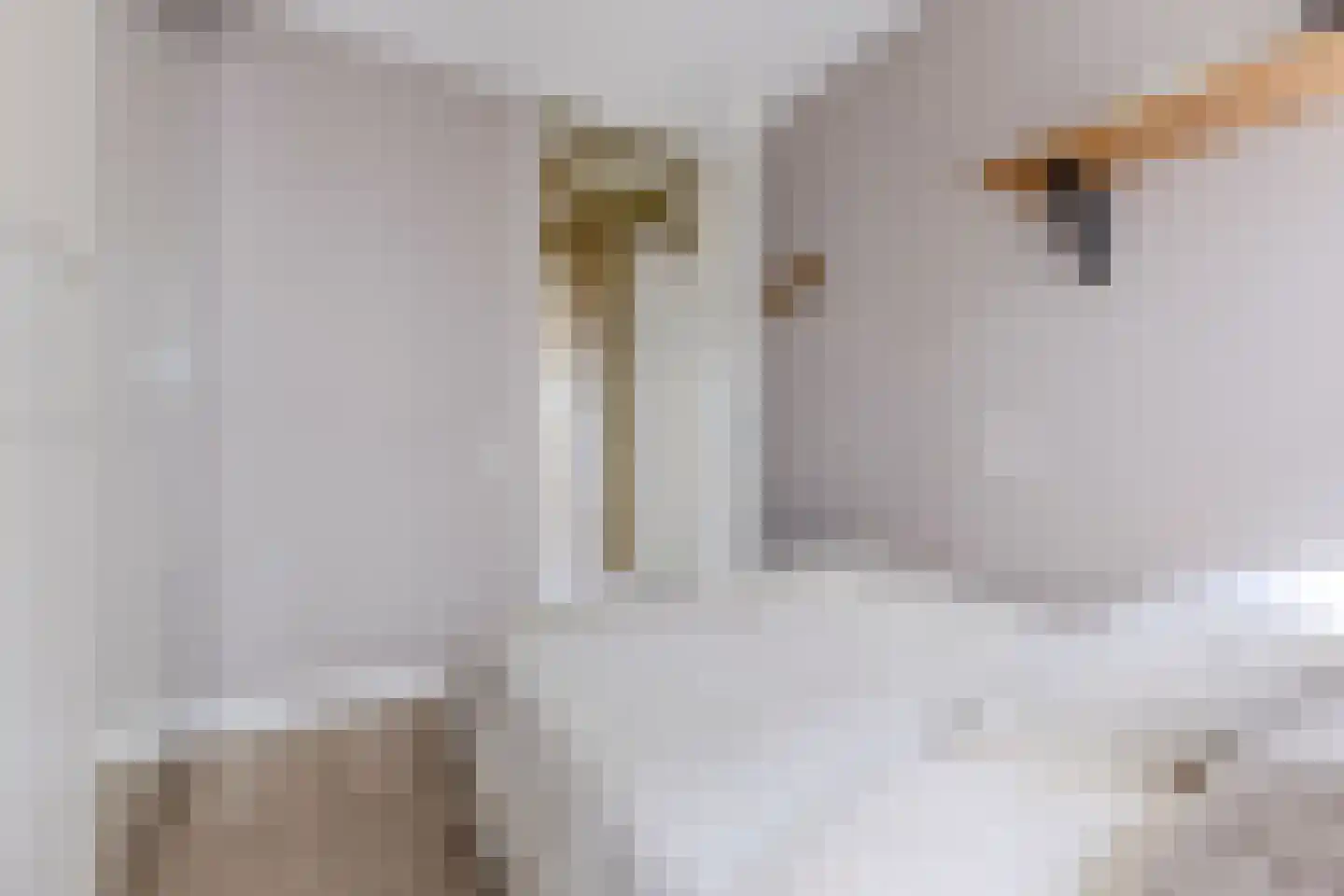 Zaanweg 118 U Wormerveer thumbnail 17