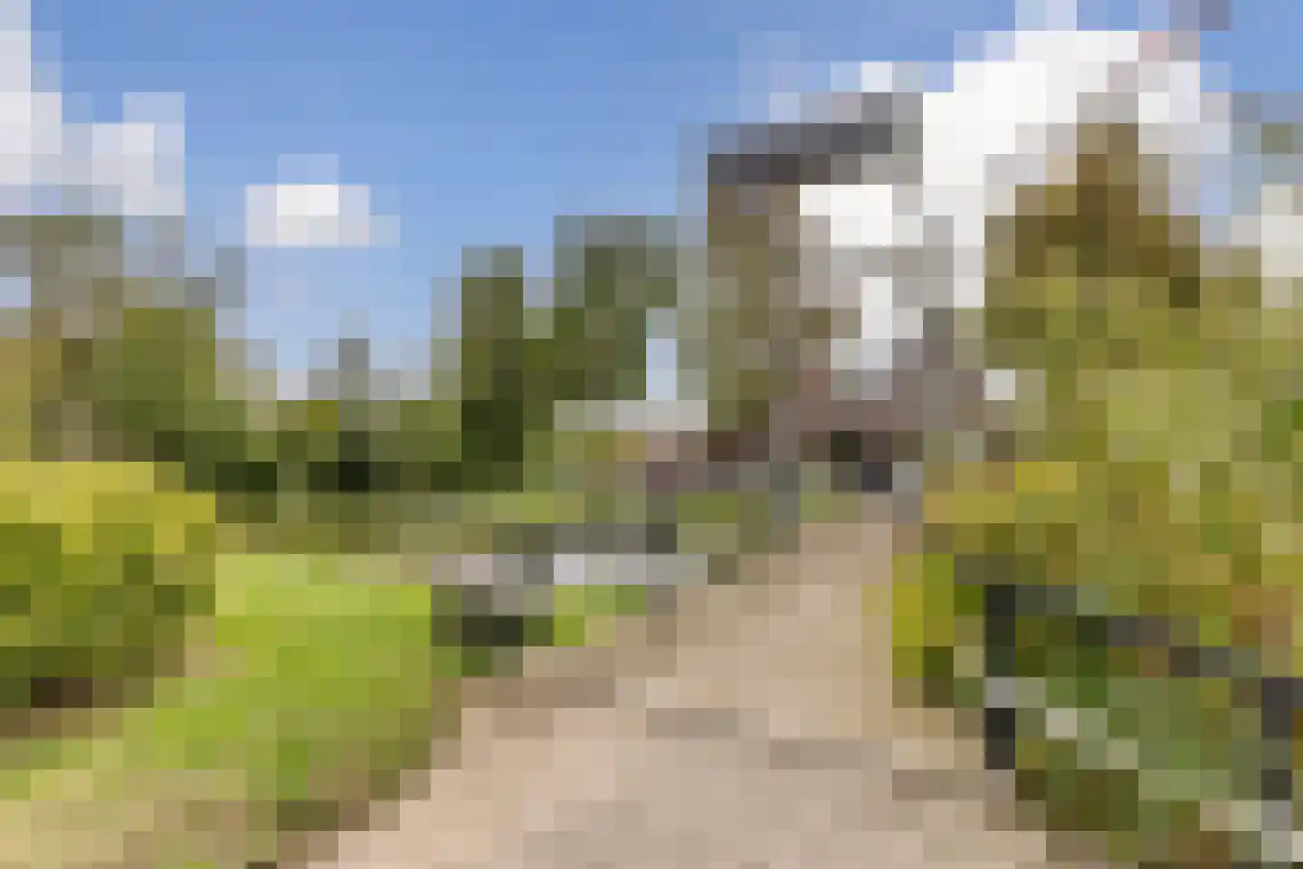 Zaanweg 118 U Wormerveer thumbnail 34
