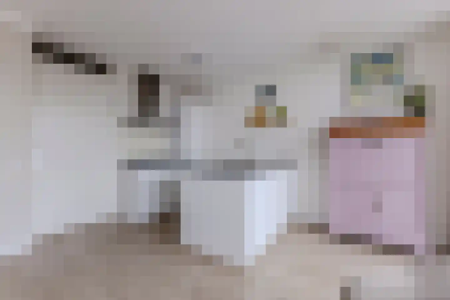 Zaanweg 118 U Wormerveer thumbnail 8