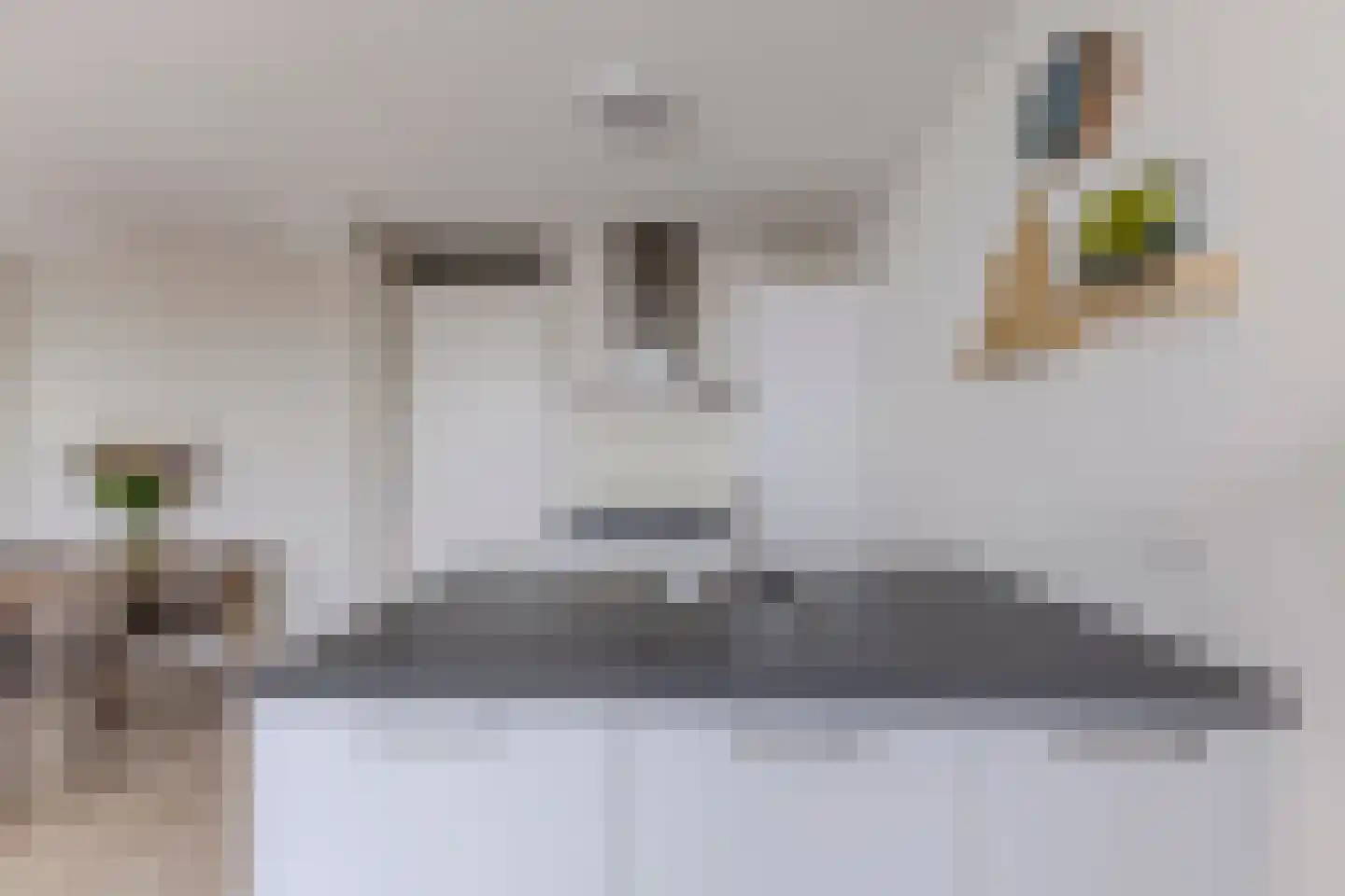 Zaanweg 118 U Wormerveer thumbnail 9