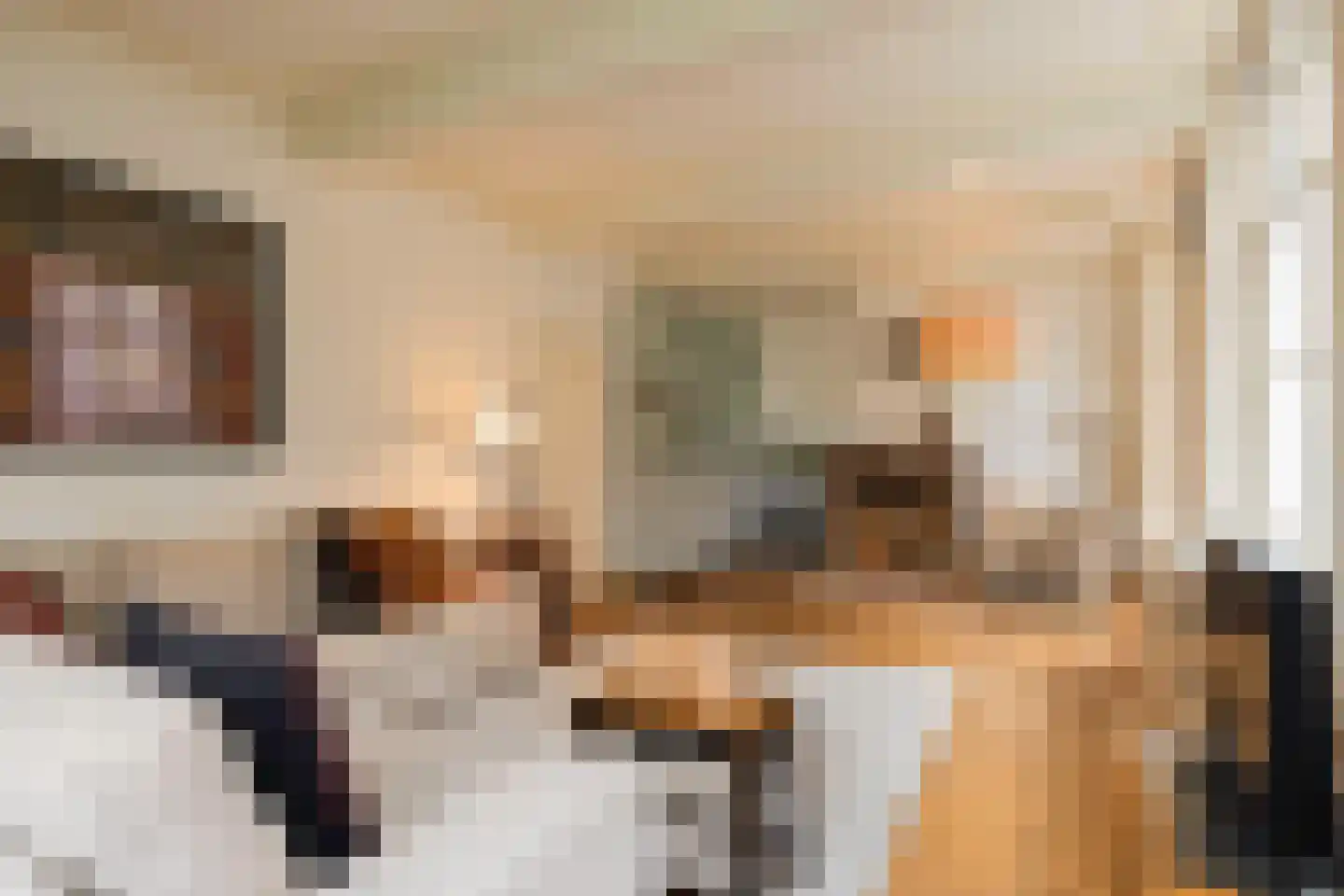 Zaanweg 24 Wormerveer thumbnail 11