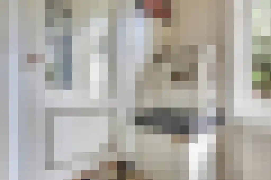 Zaanweg 24 Wormerveer thumbnail 13
