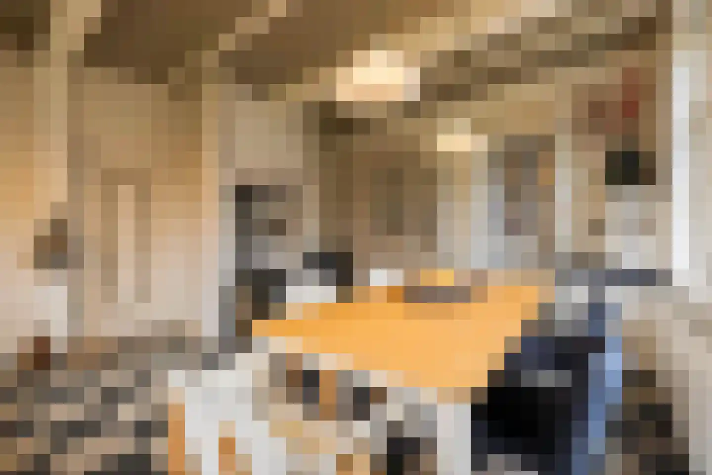 Zaanweg 24 Wormerveer thumbnail 18