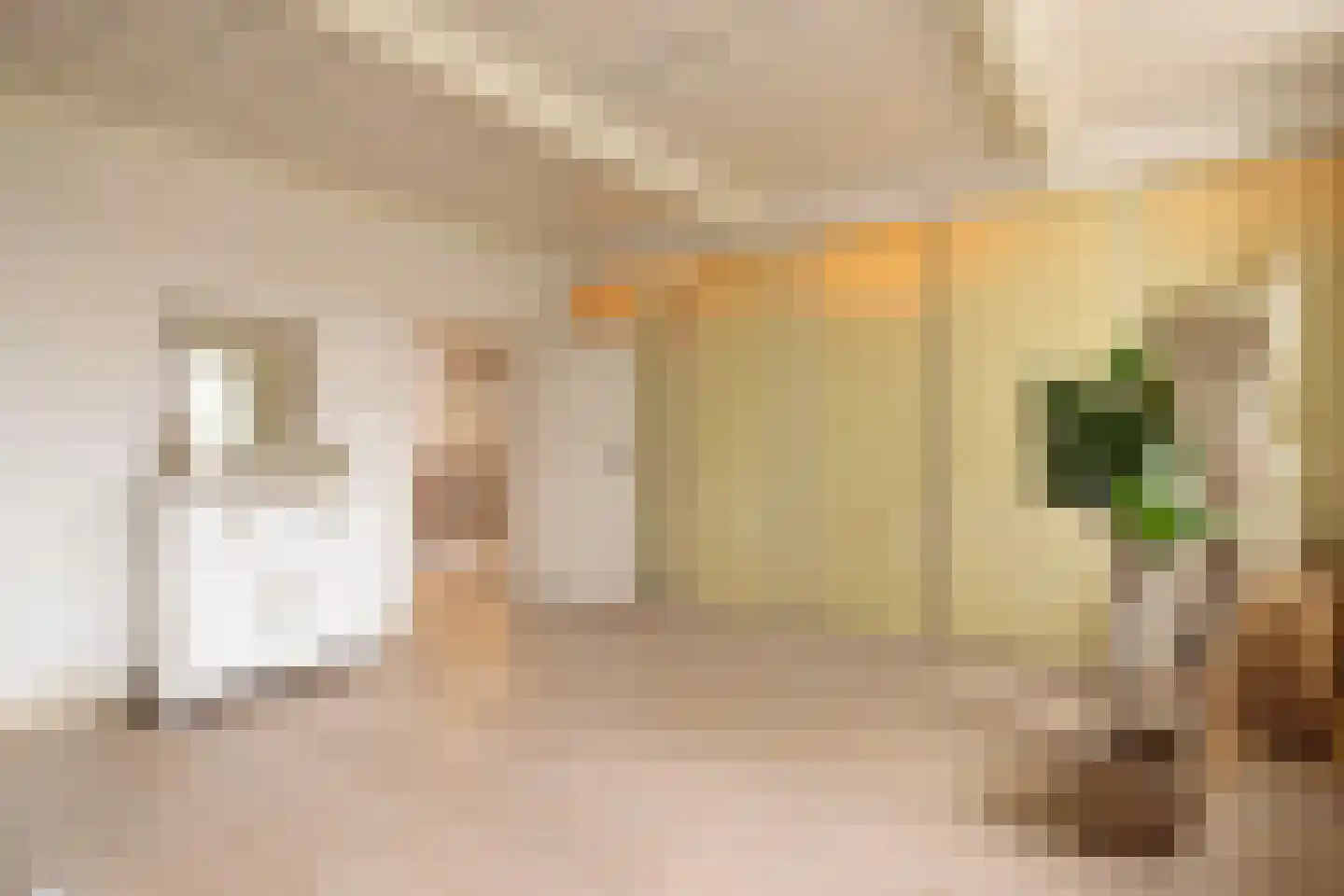Zaanweg 24 Wormerveer thumbnail 27