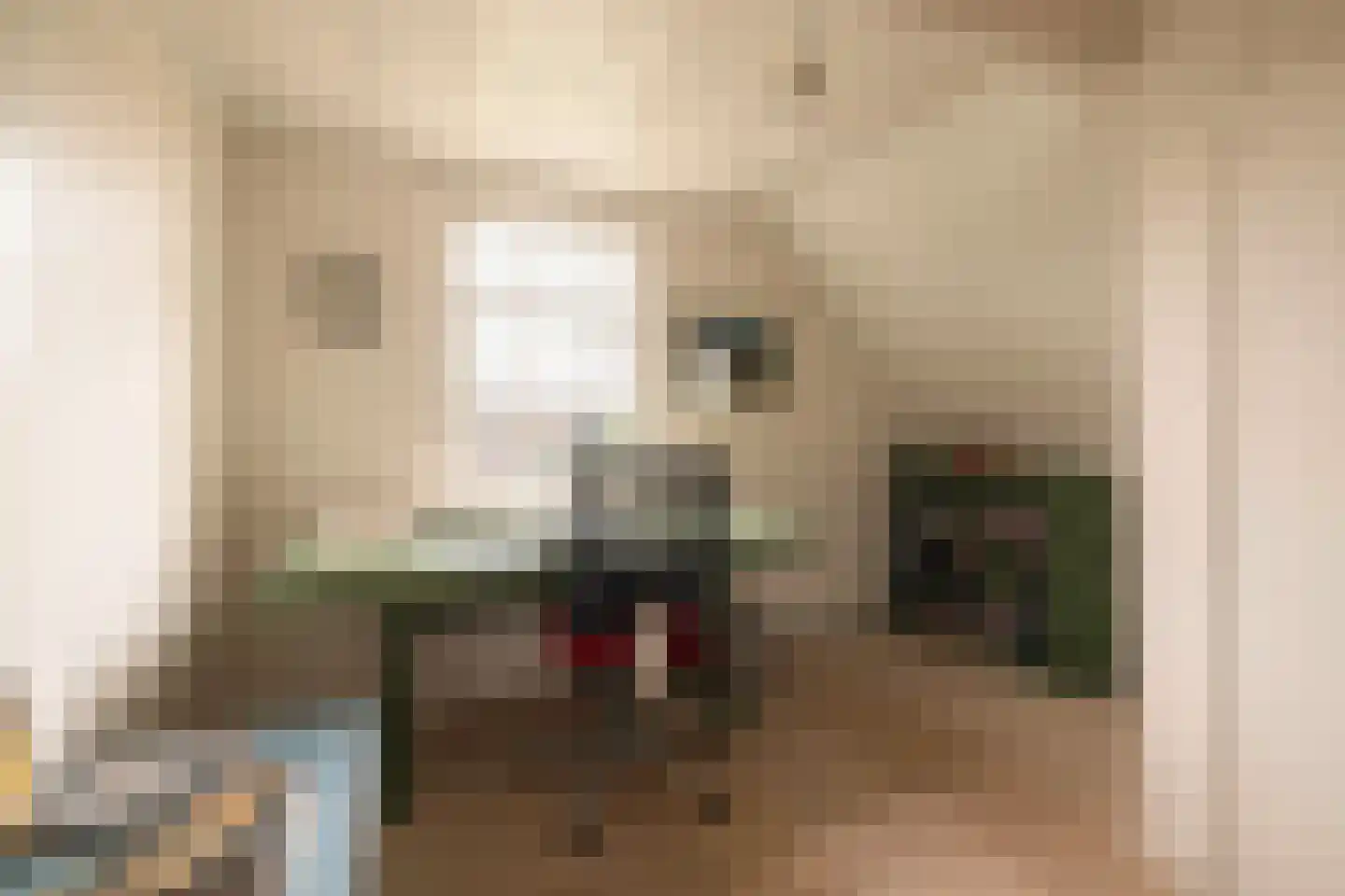 Zaanweg 24 Wormerveer thumbnail 33