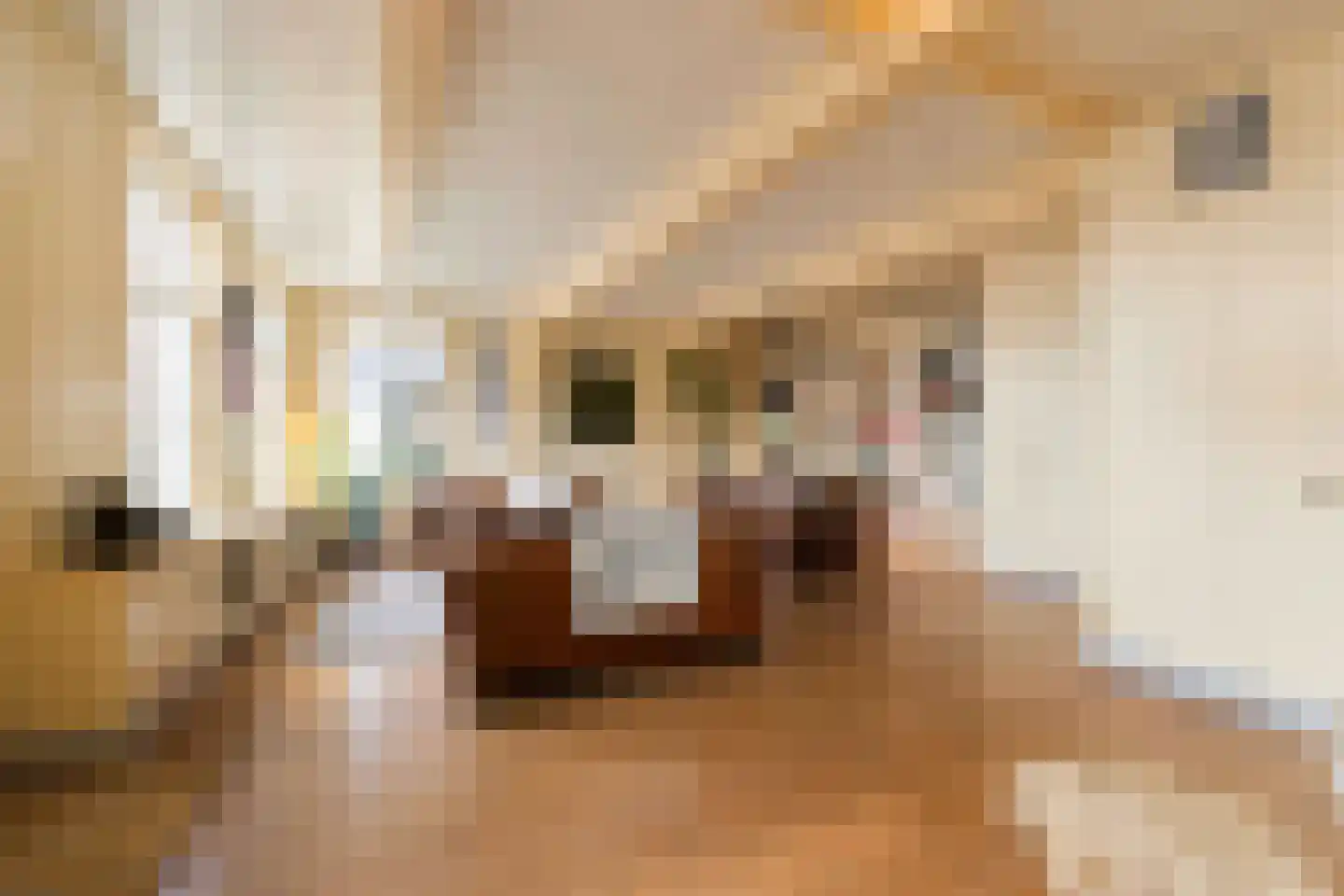 Zaanweg 24 Wormerveer thumbnail 4