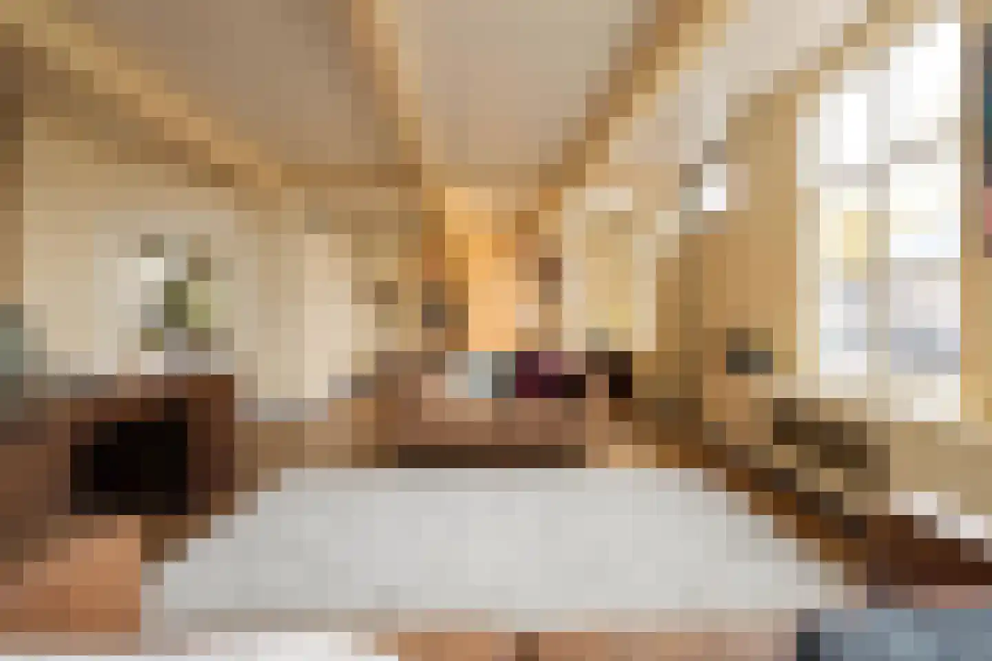 Zaanweg 24 Wormerveer thumbnail 5