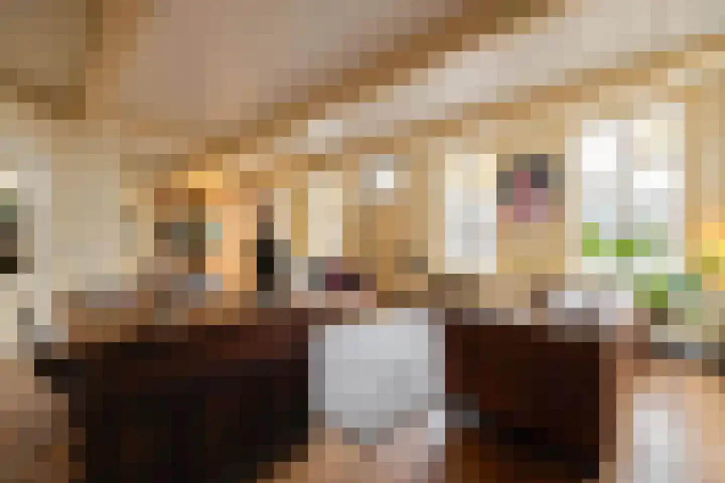 Zaanweg 24 Wormerveer thumbnail 6