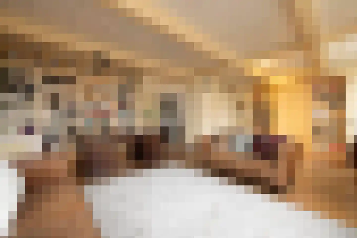 Zaanweg 24 Wormerveer thumbnail 7