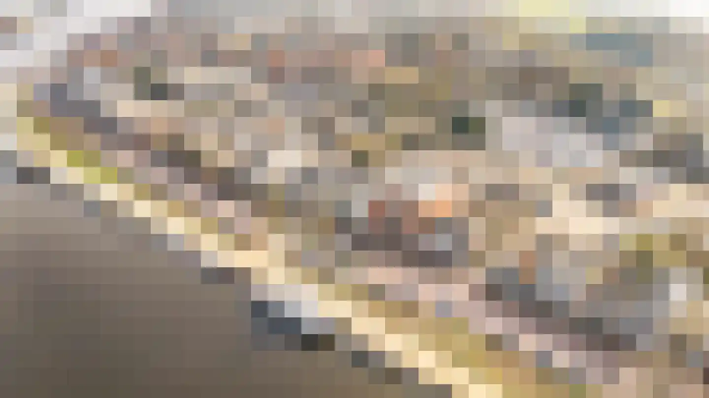 Zaanweg 66 A Wormerveer thumbnail 20
