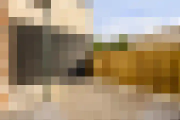 Zaanweg 66 B Wormerveer thumbnail 16