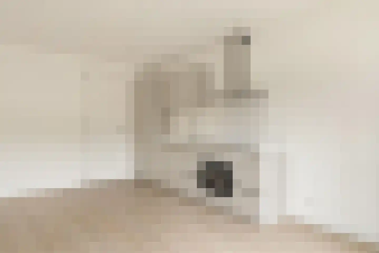 Zaanweg 66 B Wormerveer thumbnail 4