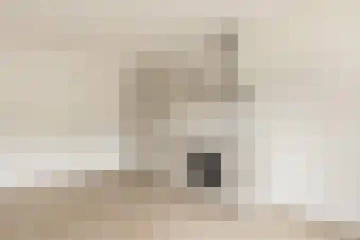 Zaanweg 66 B Wormerveer thumbnail 4