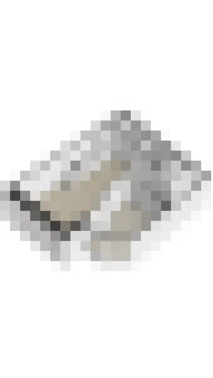 Zaanweg 66 C Wormerveer thumbnail 32