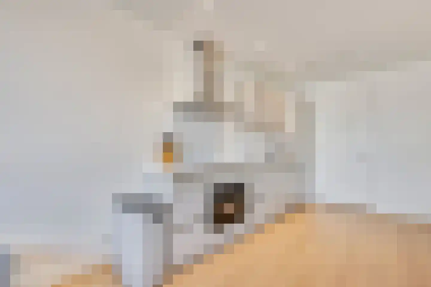 Zaanweg 66 E Wormerveer thumbnail 10