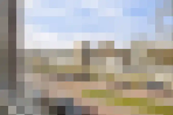 Zaanweg 66 E Wormerveer thumbnail 15