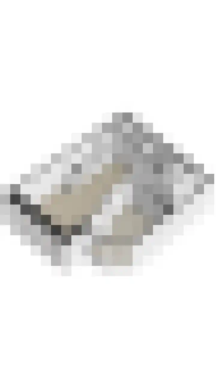 Zaanweg 66 E Wormerveer thumbnail 31