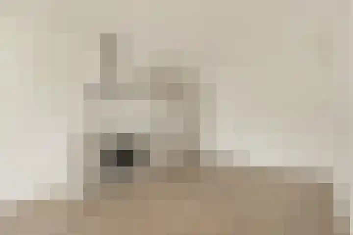 Zaanweg 66 E Wormerveer thumbnail 6