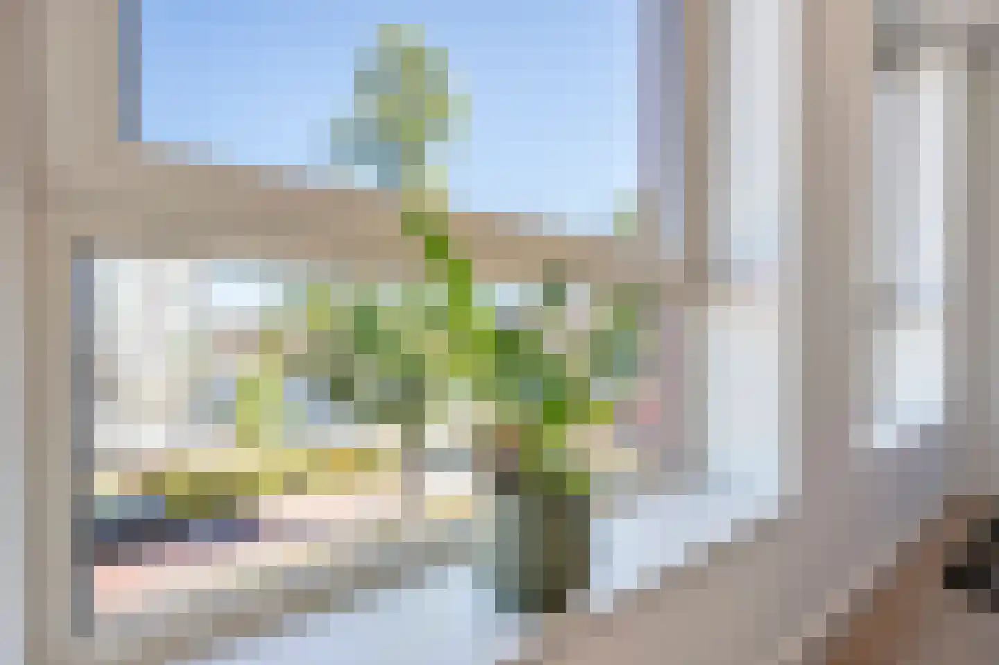 Zaanweg 66 E Wormerveer thumbnail 6